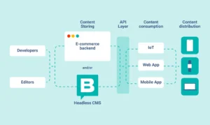 Headless e-commerce